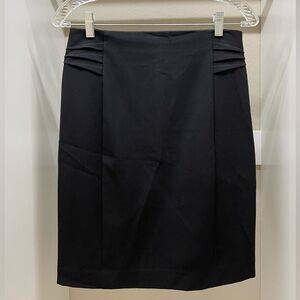 Express Pencil Skirt